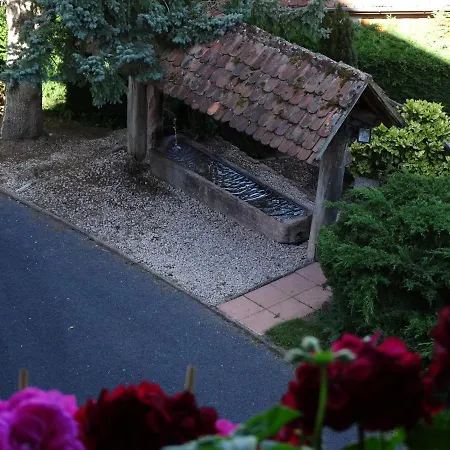 La Maison Fleurie Dieffenbach-au-Val